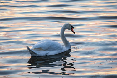 Similar image 22638477