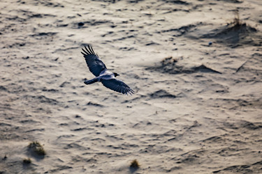 Similar image 22638488