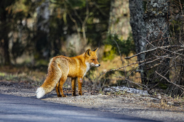 Similar image 22638491