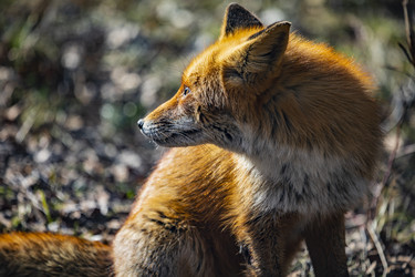 Similar image 22638493