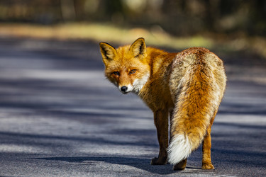 Similar image 22638494