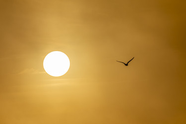 Similar image 22638495