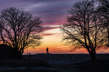 Similar image 22638499