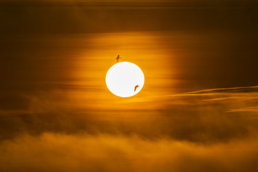 Similar image 22638500