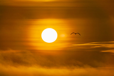 Similar image 22638503