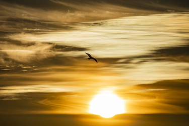 Similar image 22638506