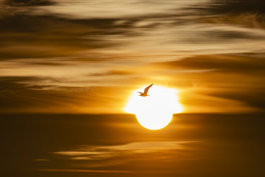 Similar image 22638507