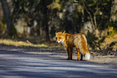 Similar image 22638508