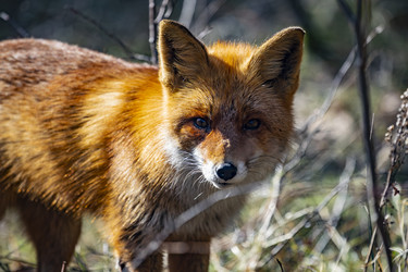 Similar image 22638509