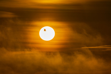 Similar image 22638510