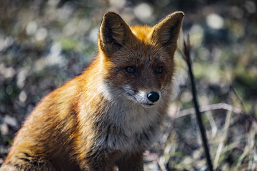 Similar image 22638511