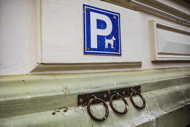 Similar image 22636345