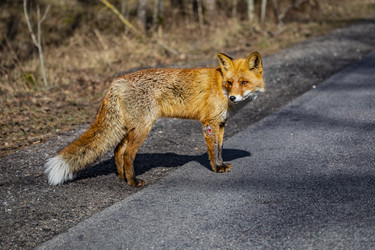 Similar image 22638515