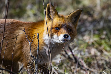 Similar image 22638518