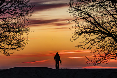 Similar image 22638523