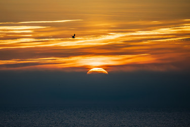 Similar image 22638525