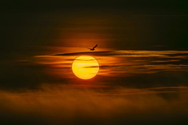 Similar image 22638526