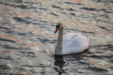 Similar image 22638458