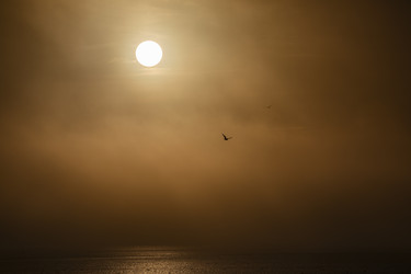 Similar image 22638483