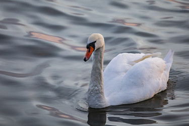 Similar image 22638485