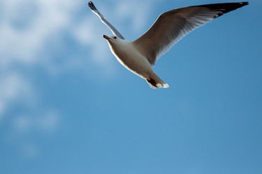 Similar image 22636858