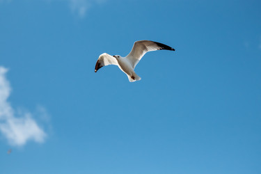 Similar image 22636879