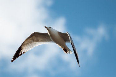 Similar image 22636881