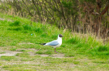 Similar image 22634258