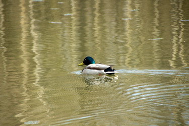 Similar image 22634259