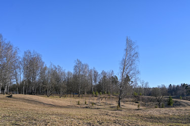 Similar image 22634353