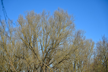 Similar image 22634354