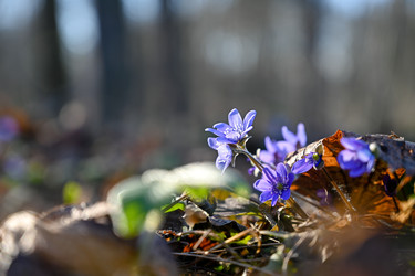 Similar image 22634355