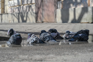 Similar image 22634357