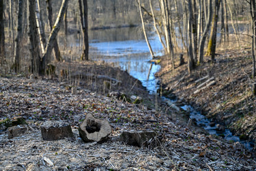 Similar image 22634358