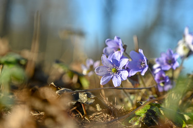 Similar image 22634359