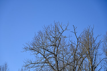 Similar image 22634373