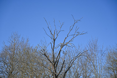 Similar image 22634374