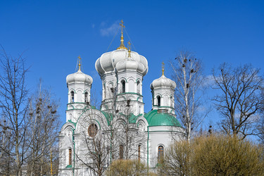 Similar image 22636009