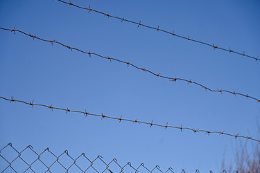 Similar image 22636010