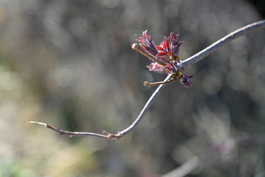 Similar image 22636011