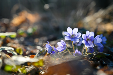 Similar image 22636014