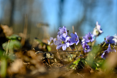 Similar image 22636015