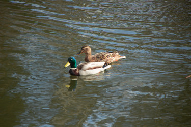 Similar image 22634276