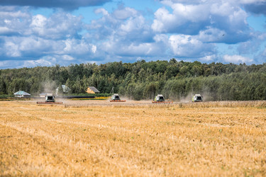 Similar image 22634236