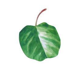 Similar image 22637763