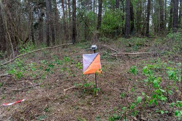 Similar image 22637703