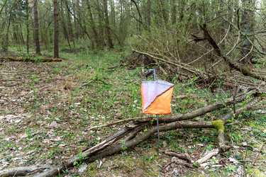 Similar image 22637704