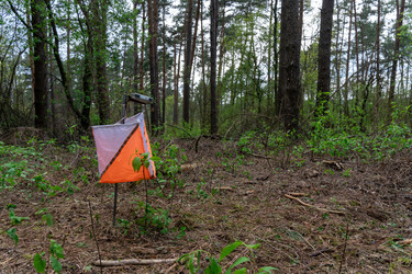 Similar image 22637711