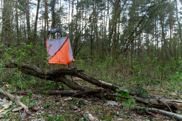 Similar image 22637712