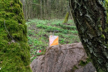 Similar image 22637713